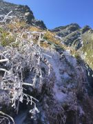 IMG-20190909-WA0005