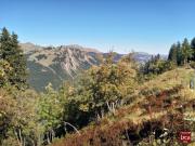 Automne2022174