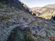 Automne2022187