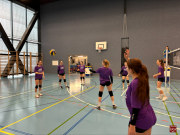Volley2024-04