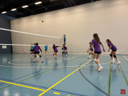 Volley2024-10