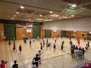 IC-Volley252