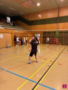 IC-Volley253